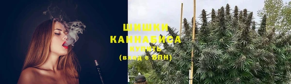 стаф Карталы